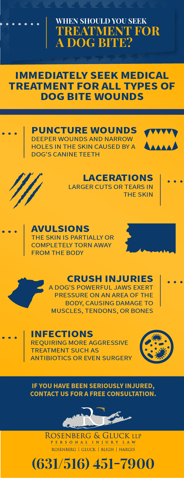 When Should You Seek Treatment for a Dog Bite?