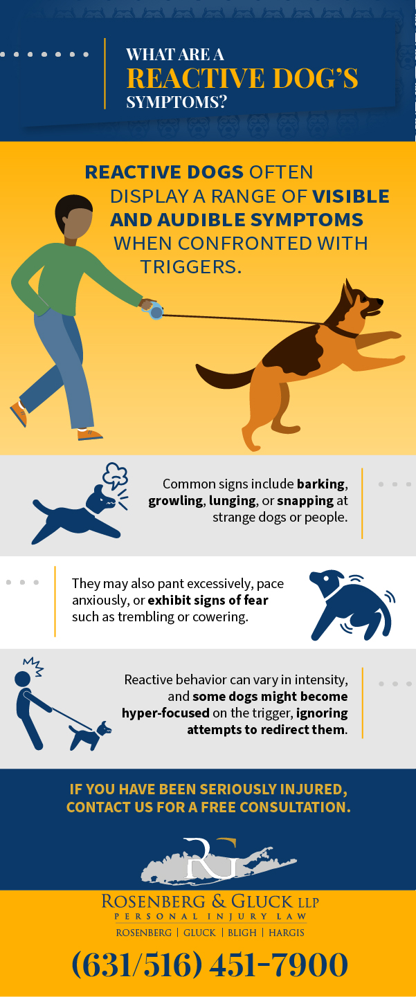 What Are A Reactive Dog's Symptoms?